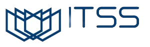 IT Strategic Solutions